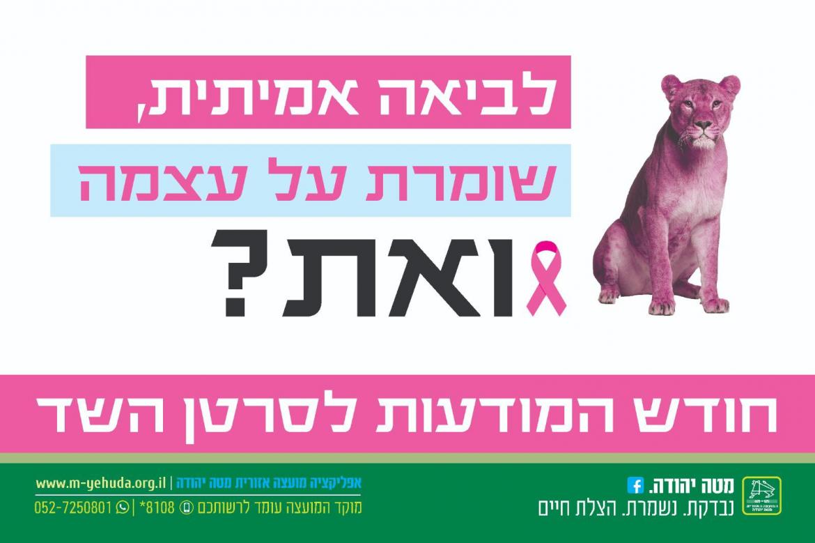 חודש המודעות לסרטן השד