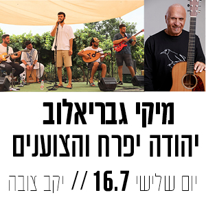 קוביות חדש 3007.jpg