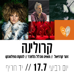 קוביות חדש 30010.jpg