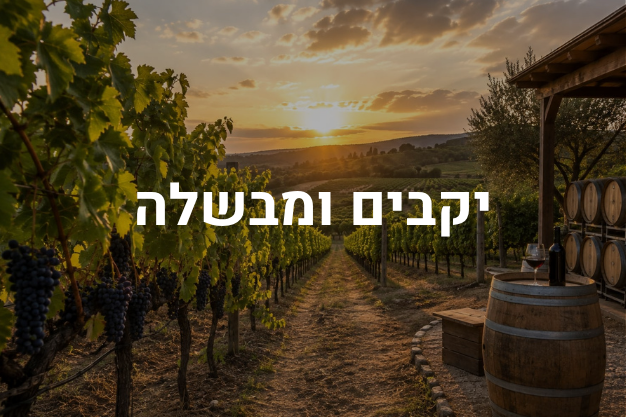 יקבים ומבשלה
