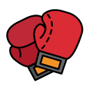איגרוף MMA