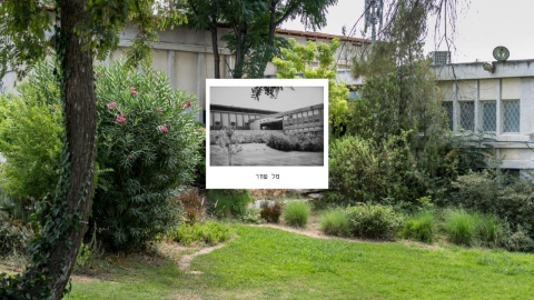 טל שחר.jpg
