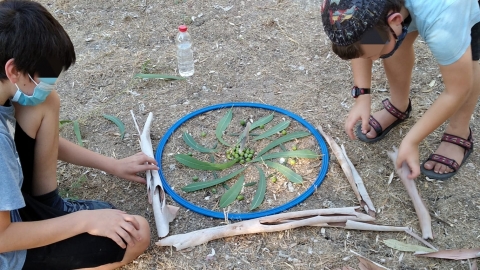 מנדלה בסיור עצים.jpg
