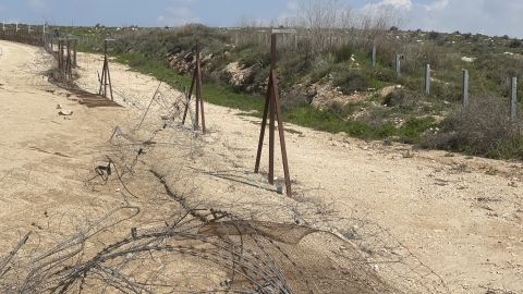 פרצות בגדר (4).jpg