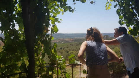 ביקור שרה 2.jpg