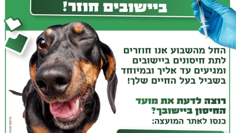 שירות וטרינרי עד הבית לחיסון בעלי החיים (1).jpeg